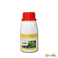 THUỐC TRỪ SÂU CANON 100SL | Đặc trị bọ trĩ - Chai 250ml
