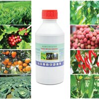 Thuốc Trừ Sâu Sinh Học 100% Thảo Mộc - An Toàn Hiệu Quả Trị Nấm, Thối Nhũn, Virus