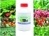 Thuốc Trừ Sâu Sinh Học 100% Thảo Mộc - An Toàn Hiệu Quả Chuyên Trị Nấm, Thối Nhũn, Virus