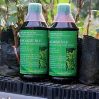 Thuốc Trừ Sâu Thảo Mộc Sinh Học Anisaf SH-07 An Toàn
