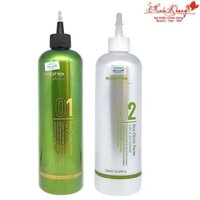 Thuốc uốn phục hồi tóc Eco Clinic Perm Sophia Platinum 500mlx2 [ MK ]
