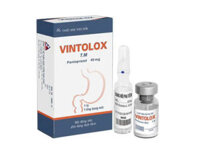 Thuốc Vintolox 40mg (Pantoprazol) – Giảm tiết acid dạ dày hiệu quả