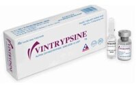 Thuốc Vintrypsine 5000C (Alpha Chymotrypsin) Dược Vĩnh Phúc – Điều trị chống viêm, giảm phù nề (Hộp 5 lọ x 5 ống nước cất pha tiêm 1ml)
