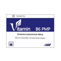 Thuốc Vitamin B6 PMP 250mg 100 Viên