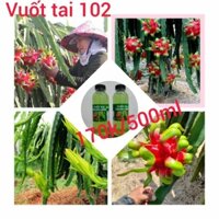 Thuốc vuốt tai thanh long 102