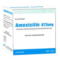 Thuốc Amoxicilin 875mg điều trị nhiễm khuẩn đường hô hấp dưới