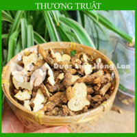 ✅[THƯỢNG HẠNG] Thương Truật khô đẹp loại 1