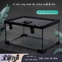 Thủy tinh hồ cạn rừng nhiệt đới bò sát thú cưng rùa tắc kè thằn lằn ếch sừng nhện bọ cánh cứng thú cưng rắn bể sinh thái