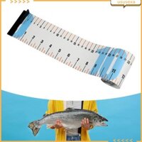 Thuyền Đo Câu Cá Để Lắp Đặt Dụng Cụ Đo Thước Câu Cá Cho Thuyền Câu Cá Du Thuyền Thuyền Kayak