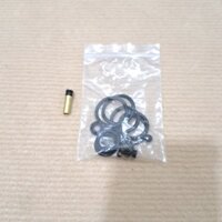 Ti Bơm, Gioăng Cao Su ron siu Sửa Bơm AGH