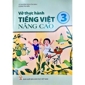 Tiếng Việt Nâng Cao 3