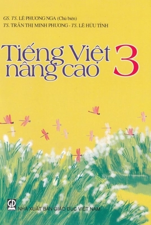 Tiếng Việt Nâng Cao 3