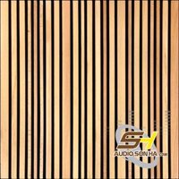 TIÊU ÂM - TÁN ÂM ARTNOVION SIENA W - ABSORBER