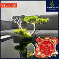 Tiểu cảnh Bonsai Decor mini có đèn led hào quang trang trí nội thất, bàn trà... DxRxC = 30x20x30cm _ (BSD350)