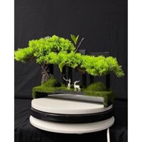 Tiểu cảnh Bonsai mini trang trí bể cá hoặc bàn trà (SKU_BSM250)