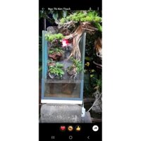 Tiểu cảnh bonsai thác nước cho bán cạn- bể cá cảnh(không hồ kiếng)