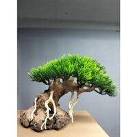 Tiểu cảnh Cây Đa Bên Hồ nước ( Cây Gỗ Lũa Bonsai kết hợp dòng suối) dành cho bể cá cảnh, bể cá thủy sinh