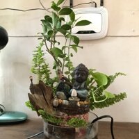 Tiểu cảnh tiểu phật
