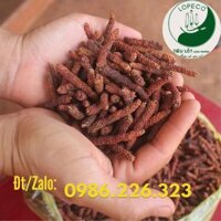 Tiêu Lốt Khô - Tiêu Lốp Khô Hữu Cơ Hảo Hạng LOPECO - Long Perper Dry LOPECO Loại 500g và 1Kg.