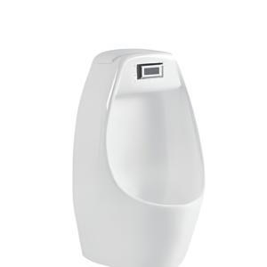 Tiểu nam Bello 500314