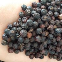 Tiêu nhồi phú quốc