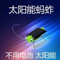 Tik Tok Influencer Cùng Phong Cách Cỏ Năng Lượng Mặt Trời Đồ Chơi Trẻ Em Khoa Học Thí Nghiệm Nhỏ Mới Lạ Cao Cấp Công Nghệ Đen