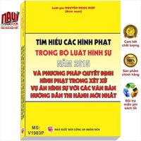 Tìm Hiểu Các Hình Phạt Trong Bộ Luật Hình Sự Năm 2015 Và Phương Pháp Quyết Định Hình Phạt Trong Xét Xử Vụ Án Hình Sự - Luật gia Nguyễn Ngọc Điệp