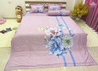 Timeless Skin Care - 20% vitamin c + e ferulic acid serum with dropper, 1 Ounce