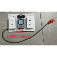 Timer ở đảo ngày đêm nhà yến