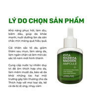 Tinh chất dưỡng da - 🤩🤩Lebelage Cica Madecassoside Ampoule 35ml