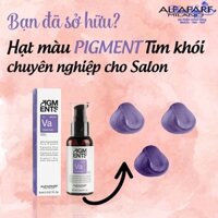 Tinh chất dưỡng màu tóc nhuộm Alfaparf Milano Pigments 90ml ( Violet Ash ) [ TN ]