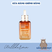 Tinh Chất Hỗ Trợ Căng Bóng Da Wellderma Propolis 1000 Energy Ampoule Từ Keo Ong Hàn Quốc 50ml
