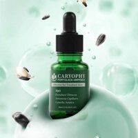 Tinh chất kiểm soát dầu, giảm mụn, mờ thâm Caryophy Portulaca Ampoule 30ml