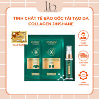 Tinh Chất Tế Bào Gốc Tái Tạo Da Collagen Jinshane  Combo Tế Bào Gốc Collagen Jinshane Dưỡng Da, Trẻ Hóa, Mờ Thâm 30ml