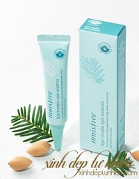 Tinh chất trị mụn tức thì Innisfree Bija Trouble Spot Essence