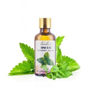 Tinh dầu bạc hà Lam Hà 10ml