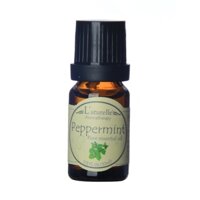 Tinh dầu Bạc hà - PEPPERMINT Pure essential oil