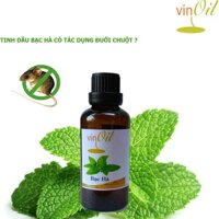 Tinh dau bac ha - Tinh dầu bạc hà nguyên chất xông phòng 10ml