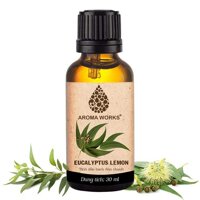 Tinh Dầu Bạch Đàn Chanh Aroma Works Essential Oils Eucalyptus Lemon - 30 ml