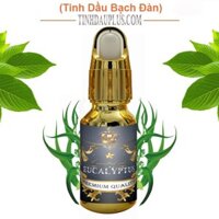 Tinh dầu bạch đàn nguyên chất