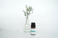 Tinh Dầu Cảm Cúm – Cold Flu Essential Oil