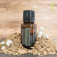 Tinh dầu doTERRA Thì là Fennel