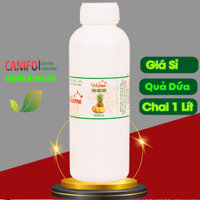Tinh dầu dứa thơm nguyên chất 1 lít Giá Sỉ, thơm phòng, khử mùi hiệu quả, Sản Xuất Nước Giặt