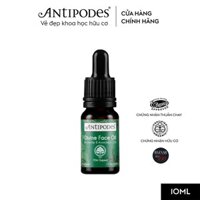 Tinh Dầu Dưỡng Da Mặt Antipodes Divine Face Oil Rosehip & Avocado Oil 10ml