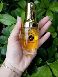 Tinh dầu dưỡng tóc Kly.m elixer argan oil 30ml