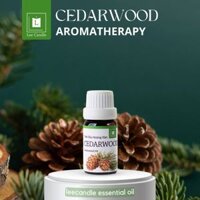 Tinh Dầu Gỗ Tuyết Tùng Thiên Nhiên - Giảm Stress, Thanh Lọc Không Khí