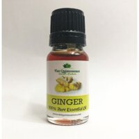 Tinh dầu gừng Viet Quintessence–Tinh dầu 100% thiên nhiên (10 ml)