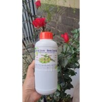 Tinh dầu hạt Neem/ Neem oil nguyên chất ép lạnh Ấn độ phòng bọ trĩ, sâu bọ, rầy rệp cho hoa hồng, rau sach (chai 500ml)