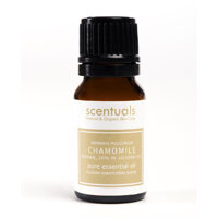 Tinh dầu hoa cúc 20 dầu jojoba - Pure essential oil 10 ml - CHAMOMILE 20 IN JOJOBA OIL