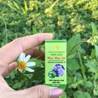 Tinh dầu Hoa Ngũ Sắc